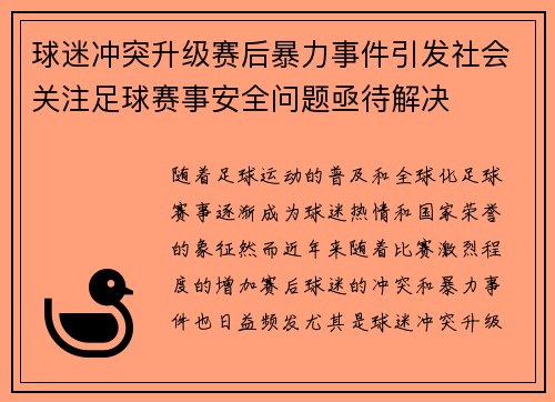 球迷冲突升级赛后暴力事件引发社会关注足球赛事安全问题亟待解决